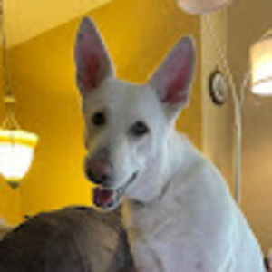 Meet your Posher, Barbara